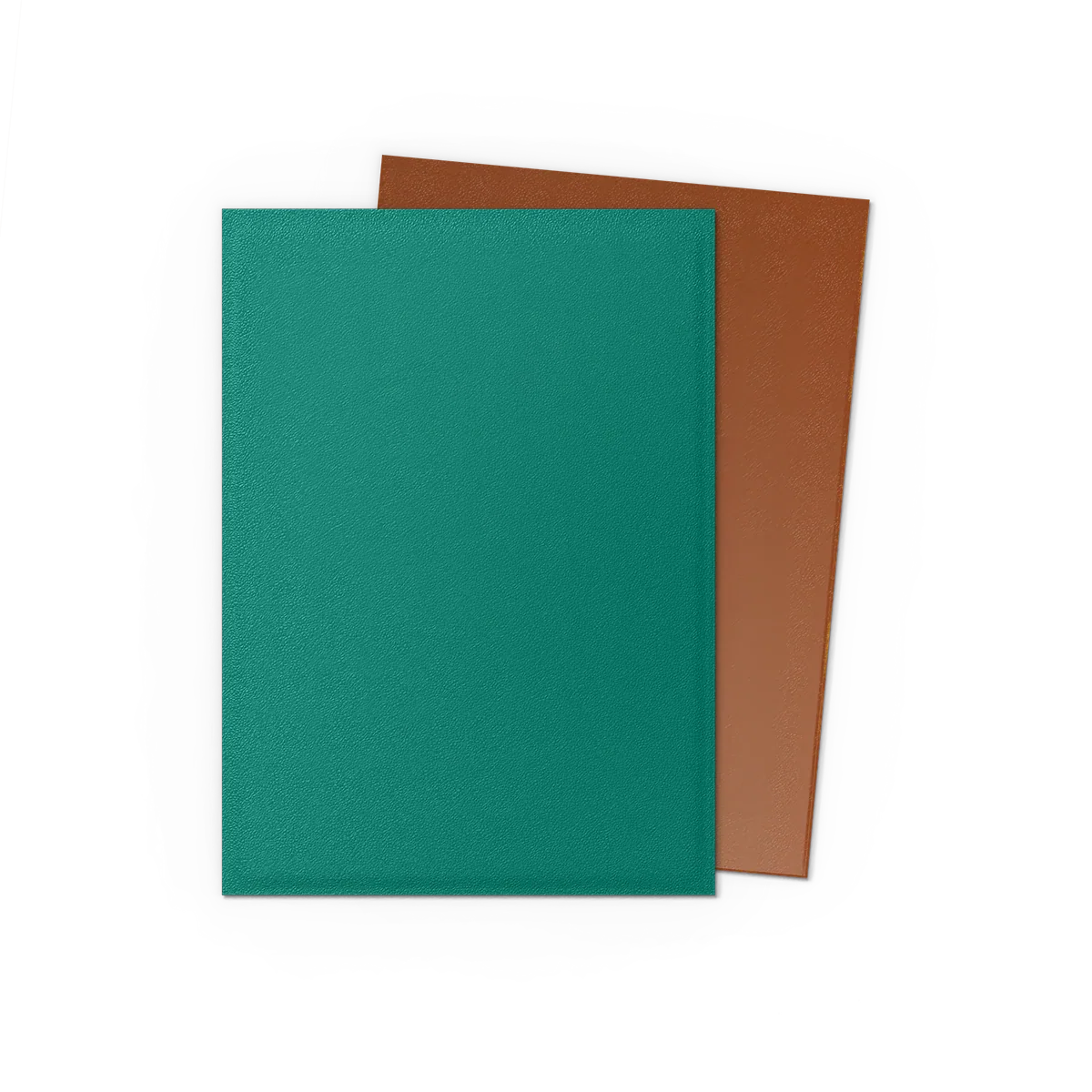 POWER & COPPER - MATTE DUAL SLEEVES