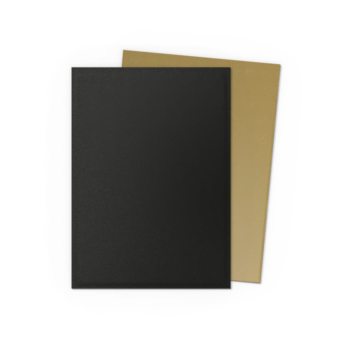 BLACK & GOLD - MATTE DUAL SLEEVES